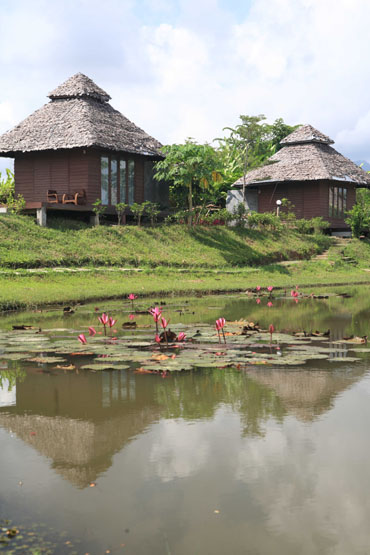Pai Tara Resort, Morning