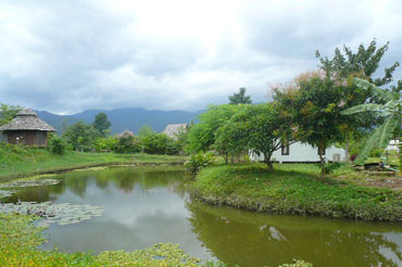 Pai Tara Resort, Morning